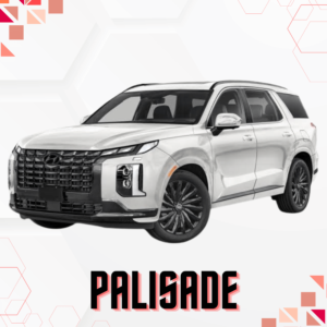 PALISADE